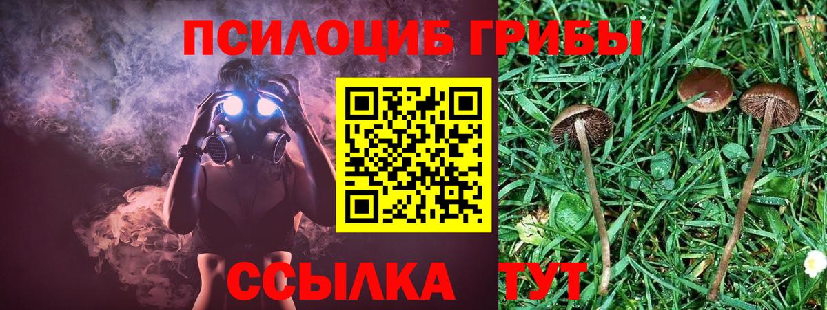 Псилоцибиновые грибы Cubensis  где купить наркотик  Галлюциногенные грибы мухоморы  Десногорск  Вход с VPN 